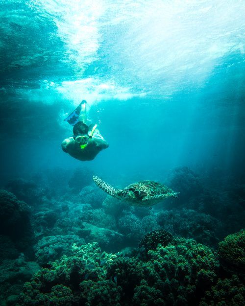 Sports & Diving